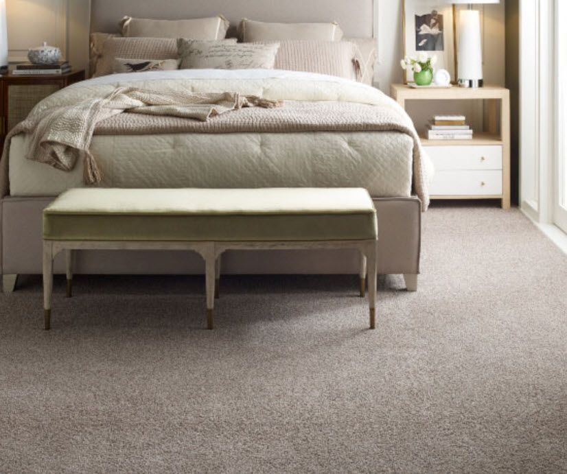Carpet 