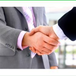 Business Insurance
