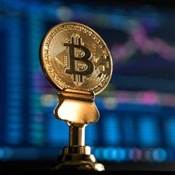 Donate Bitcoin