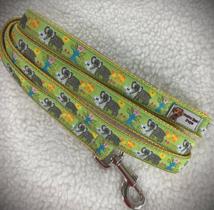 Large Collars and Leashes