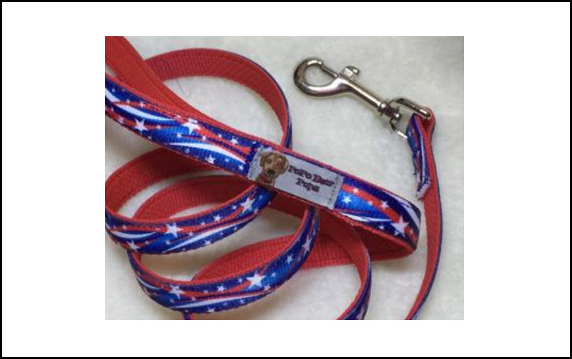 Small Leashes and Collar