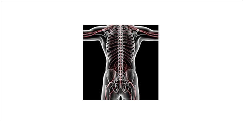 Chiropractic Care