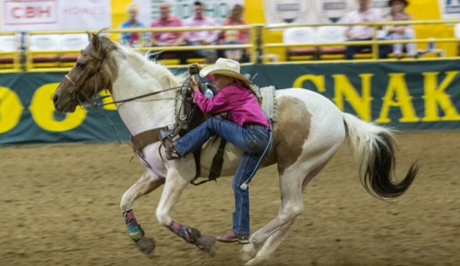 Junior Rodeo