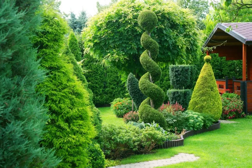 Tree and Shrub Care
