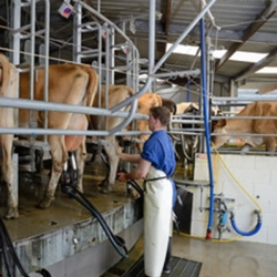 Livestock & AG