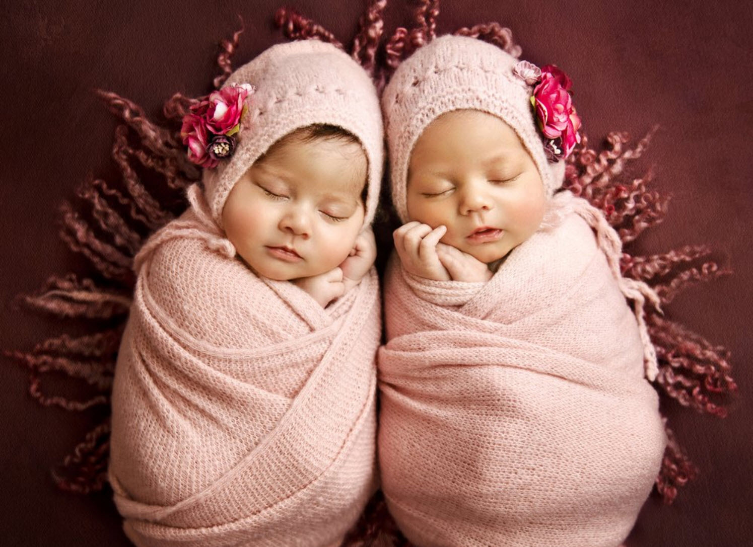 Newborn Portraits