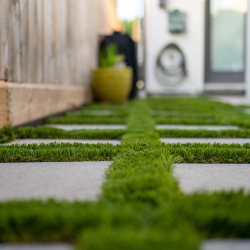 Perfect Lawn Replacement