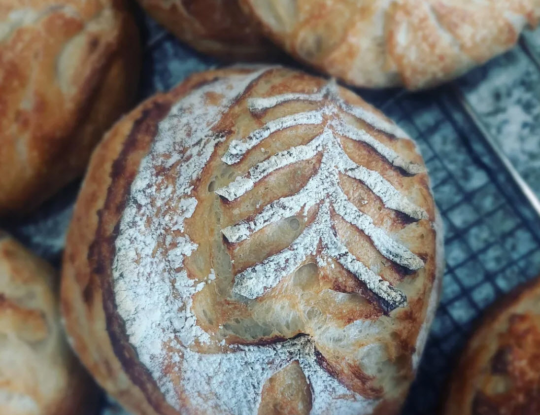 Sourdough Round