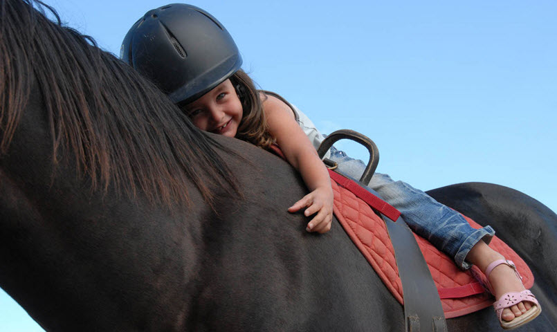  Join Horses4Heroes