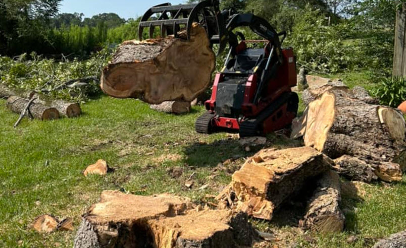 Stump Grinding