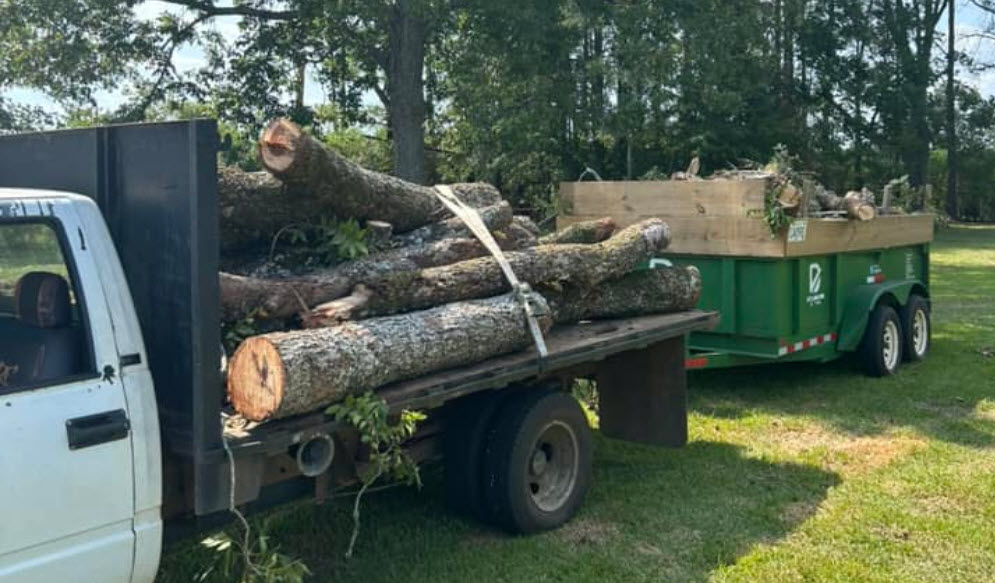 Tree Removal