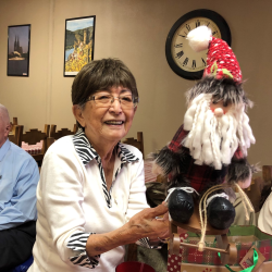 Senior Citizen Support Programs