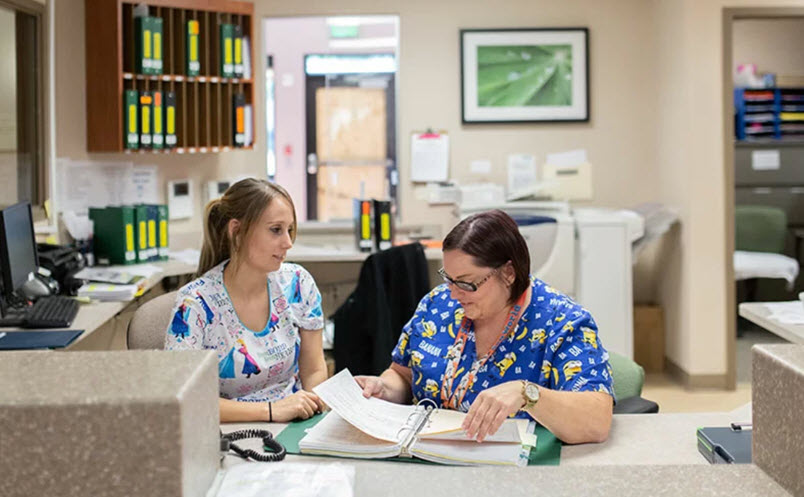 Intensive Outpatient Treatment Program