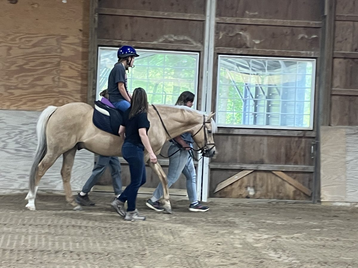 Therapeutic Riding