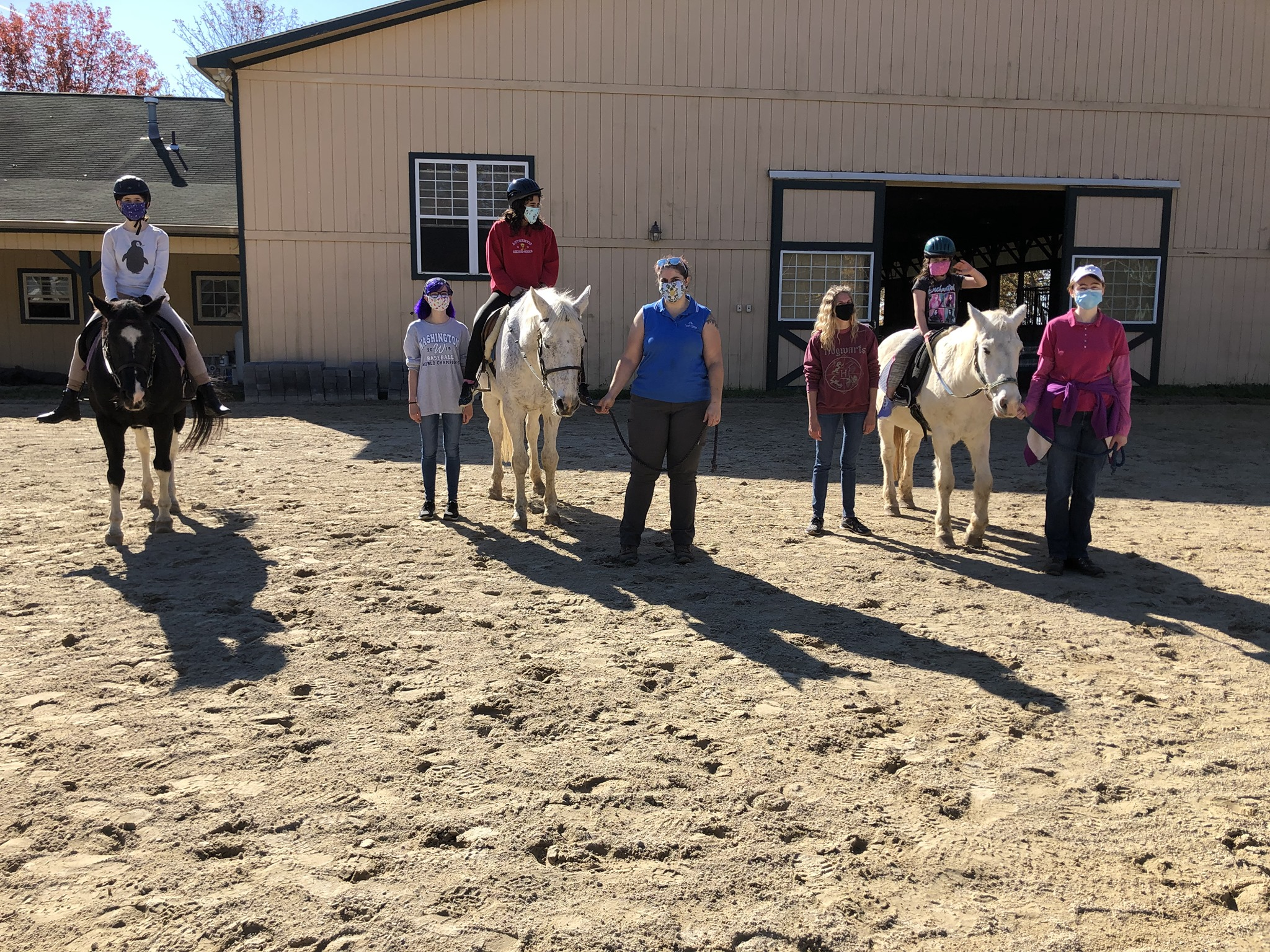 Equine-Assisted Learning