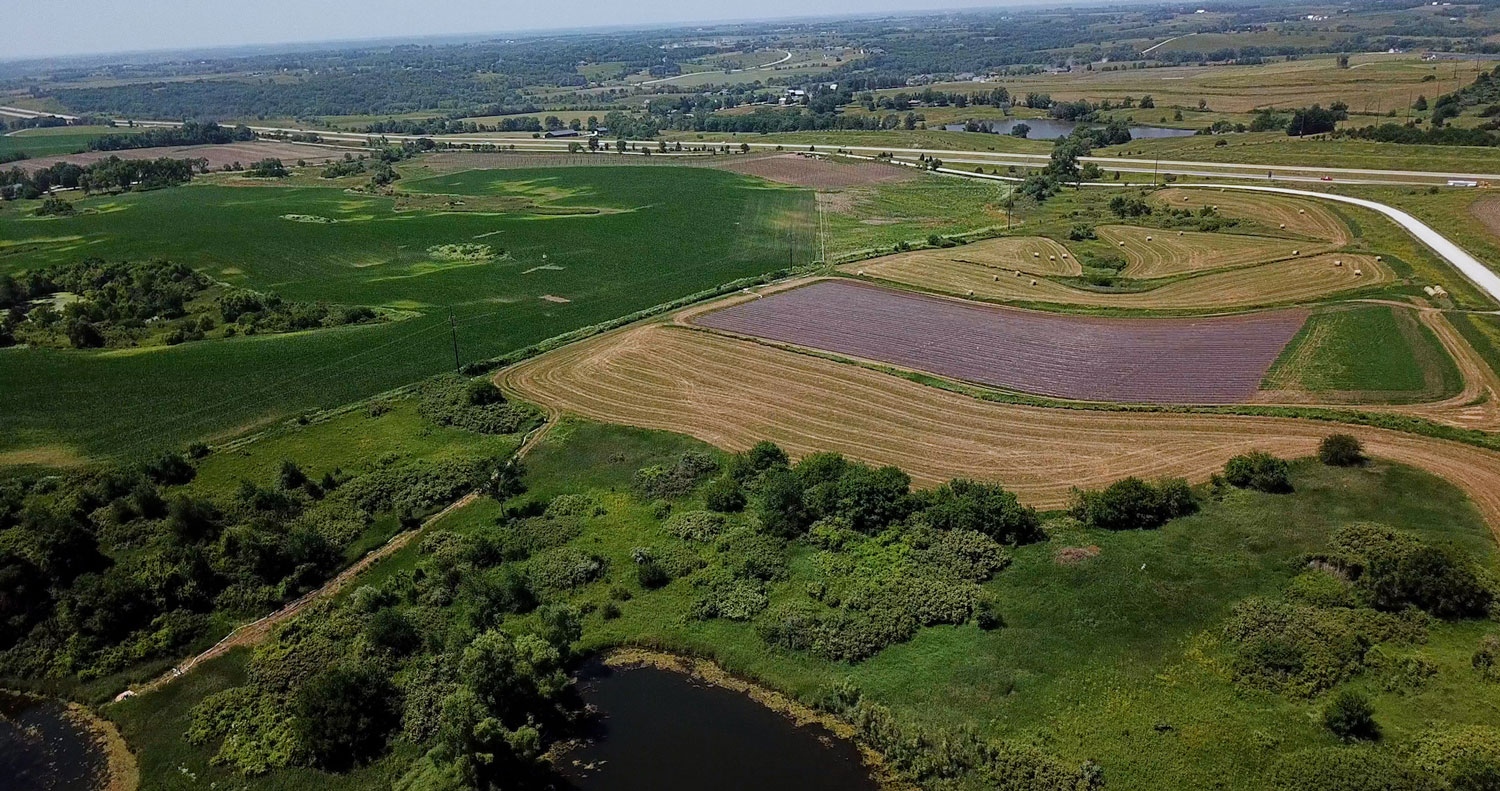 Wilson's Orchard & Farm