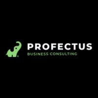 Profectus Business Consulting