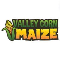 Valley Corn Maize