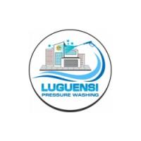 Luguensi Pressure Washing