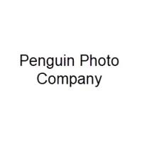 Penguin Photo Company