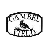 Gambel Field / Hassayampa Events