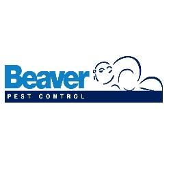 Beaver Pest Control