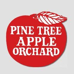 Pine Tree Apple Orchard