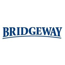 Bridgeway Inc.