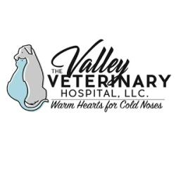 The Valley Veterinary Hospital