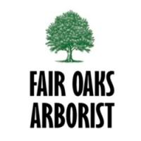 Fair Oaks Arborist