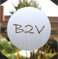 B2V Salon