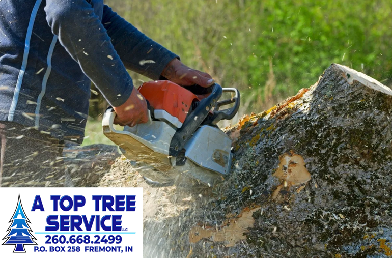 A Top Tree Service Fremont, IN